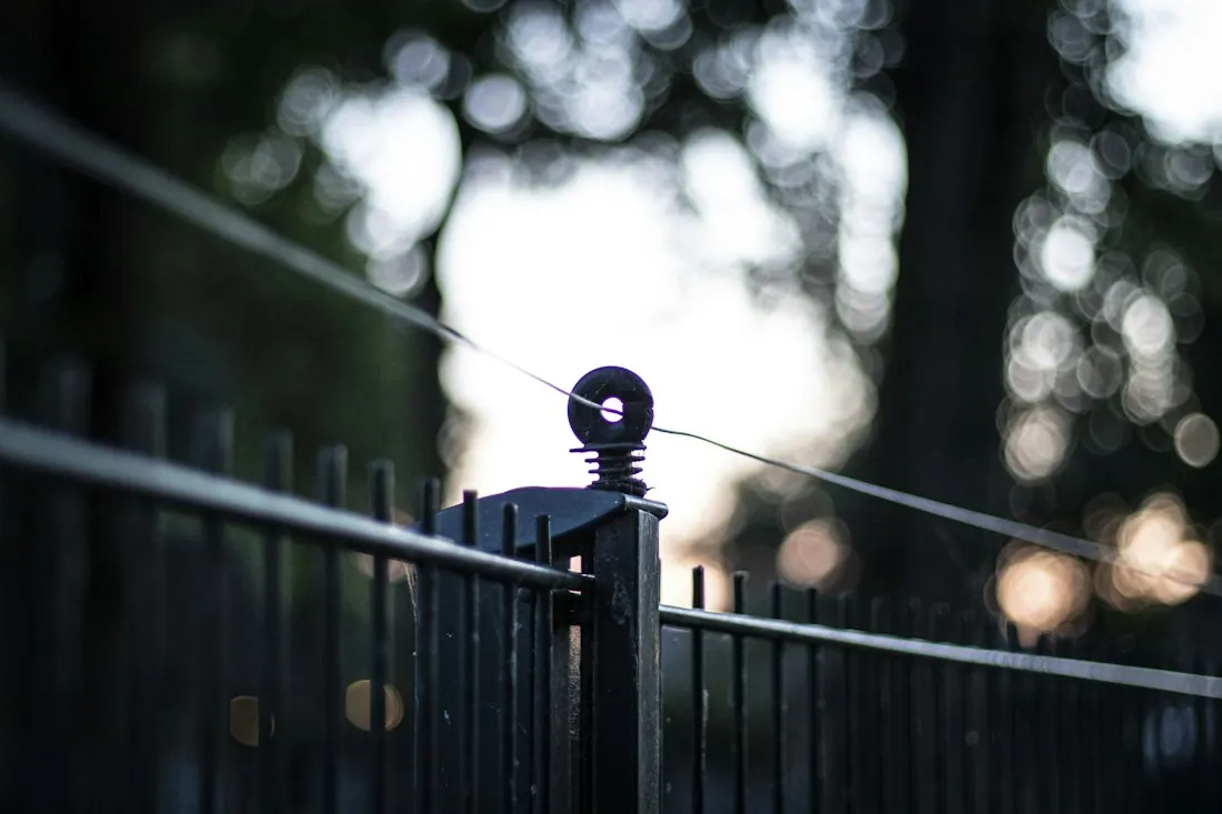 Black metal fence with a round post cap, against soft evening light through trees.